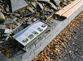 Ein Fenster zum Grünen Band / Tafeln für die Naturpark-Informationsstelle Probstzella